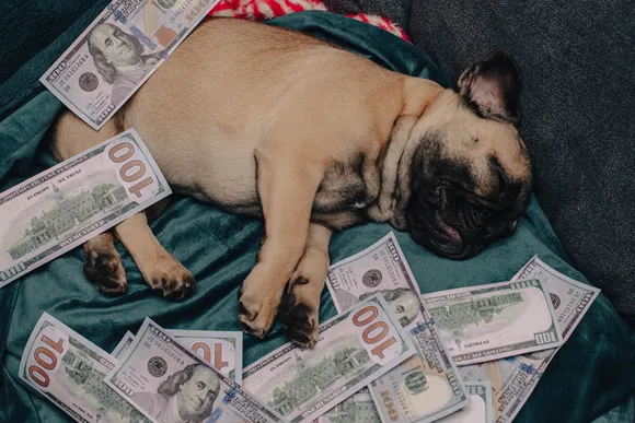 Die 10 teuersten Hunde der Welt mit Preisangaben